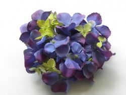 hortenzie květ modrofialovozelená