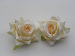 květ růže vanilková